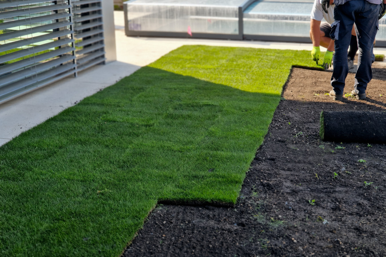 Commercial turf installation in Tulare, CA