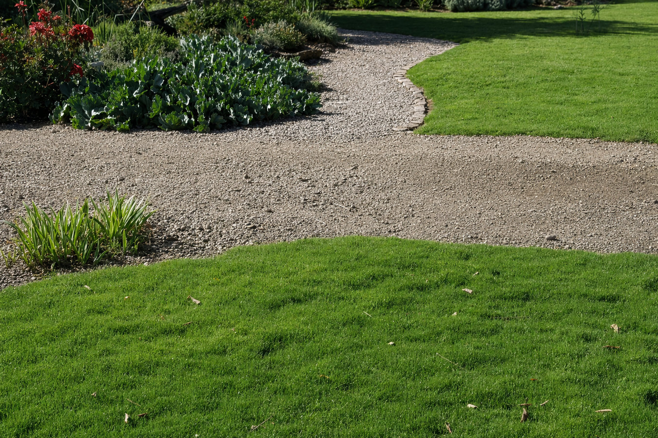 Drought-tolerant turf in Tulare, CA